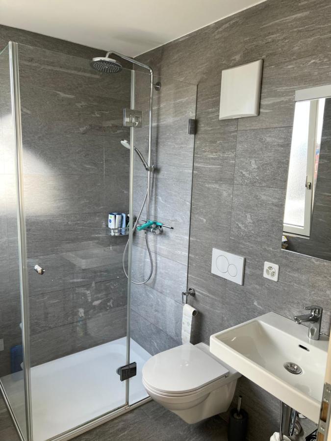 City Center Rooftop Studio With Oldtown View Basel Ngoại thất bức ảnh